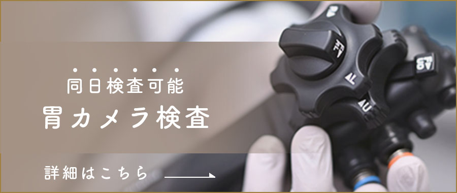 胃カメラ同日検査可能