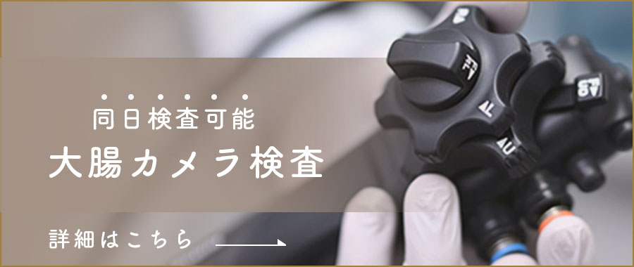 大腸カメラ同日検査可能
